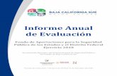 Informe Anual de Evaluación · Informe Anual de Evaluación Fondo de Aportaciones para la Seguridad Pública de los Estados y el Distrito Federal Ejercicio 2018 Secretariado Ejecutivo