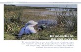 El sonidista de las aves - Argentina Ambientalargentinambiental.com/.../pdf/AA100-54-El_sonidista_de_las_aves.pdf · guía de observación de aves en sus primeros años, viajero,