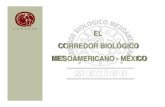 EL CORREDOR BIOLÓGICO MESOAMERICANO - MÉXICOccds.semarnat.gob.mx/regiones/r-sse/2002-2004/sesion_15... · 2005. 7. 18. · El proyecto del Corredor Biológico Mesoamericano–México