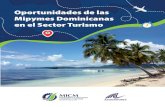 Oportunidades de las Mipymes Dominicanas en el Sector Turismo · 2018. 11. 14. · (ASONAHORES) y el Fondo Internacional de Coope-ración y Desarrollo (ICDF, por sus siglas en inglés),