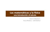 una introducción al calculo · una introducción al calculo Prof. R. Nitsche C. Física Medica –UDO Bolívar. Las matemáticas • Las matemáticas(que en entran en el grupo de