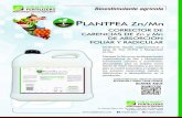 Plantpea ZnMn - Flyer · victor blondet / 938 140 054 / vblondet@orgafertperu.com asesorÍa especializada & ventas: josé morón / 977 354 138 / jmoron@orgafertperu.com poda brotaciÓn