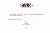 UNIVERSIDAD NACIONAL DE CHIMBORAZOdspace.unach.edu.ec/bitstream/51000/3175/1/UNACH... · SEGURIDAD INDUSTRIAL MENCIÓN PREVENCIÓN DE RIESGOS Y SALUD OCUPACIONAL TEMA: SISTEMA DE