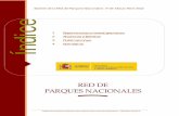 Boletín de la Red de Parques Nacionales. NIPO: 293-13-001-5 · 2013. 6. 26. · Parques Nacionales de Canarias . En 2007 el Organismo Autónomo Parques Nacionales financió un proyecto