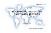 PROGRAMA DE PROTECCION A VICTIMAS Y TESTIGOS · 2014. 4. 9. · “Velar por la protección de las víctimas, los jurados, los testigos y demás intervinientes en el proceso penal.