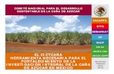 COMITÉ NACIONAL PARA EL DESARROLLO SUSTENTABLE DE LA … 2010/Presentacion_Mesa... · Sustentable de la Caña de Azúcar. Programa Nacional de la Agroindustria de la Caña de Azúcar