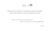 PROGRAMA DE ESTUDIOS DEL COMPONENTE BÁSICO DEL MARCOcbt2chimalhuacan.edu.mx/tigre/cbt2inf/prog2019/... · programa de estudios del componente bÁsico del marco curricular comÚn