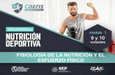 CDEFIS - Instituto Mexicano de Ciencias del Deporte, Fisioterapia … · 2019. 11. 1. · instituto mexicano de ciencias del deporte. fisioterapia salud nutricion deportiva centro