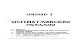 ESTRUCTURA DEL SISTEMA FINANCIERO MEXICANO€¦ · Web viewAnalizar la estructura actual del Sistema Financiero Mexicano partiendo de la evolución histórica que éste ha tenido