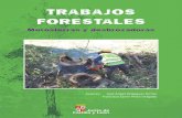 TRABAJOS FORESTALES · 2017. 11. 15. · • En trabajos en pendiente, realizar estas de abajo hacia arriba. • En el caso de árboles de grandes dimensiones la entalladura de guia