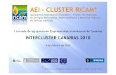 AEI - CLUSTER RICAM* · Turismo Sostenibilidad. CCS TICTICs …abiertos a más. MUCHAS GRACIAS POR SU ATENCIÓN Contacto: ... 89-4º Las Palmas de Gran Canaria ... Santa Cruz de Tenerife.