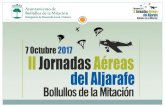 Aeródromo de La Juliana su II Jornada Aérea del Aljarafe.elcorazondelaljarafe.com/images/feria/presentacion.pdf · 2017. 12. 12. · aéreo con unas condiciones únicas para la