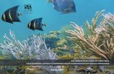 VALOR ECONÓMICO, AMENAZAS Y COMPROMISOS ......Los arrecifes de coral en Costa Rica: valor económico, amenazas y compromisos legales internacionales que obligan a protegerlos Introducción