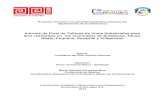 Informe de Final de Talleres de tintes Industriales para ...€¦ · 1l UVITEX NFW – S Químicos: Fosfato trisódico Sulfato de aluminio Sulfato de Cobre Alumbre Acido acético