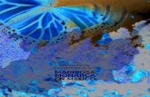 MARIPOSA MONARCA EN M XICO - Registros de Mariposa Monarca Esta l nea base de la Monarca en nuestro