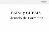 EMS1 y CI-EMS - tebaevmartinez.comtebaevmartinez.com/documentos/Guia de llenado EMS1... · con formato EMS1 según sea el caso: • No se le haya emitido formato, o • Que el formato