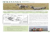 WILD SAFARI Kenya y Tanzania, 14 días 2020/Fichas informativas 20… · ¡Los mejores parques y reservas nacionales de África oriental en un solo viaje! Acampadas en lugares salvajes