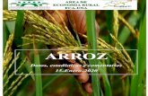 ARROZ - agr.una.py · ARROZ: Datos, estadísticas y comentarios Diciembre-2019 Volumen 1-N° 3 3 Resumen mensual Arrancó la cosecha de arroz en Paraguay. Ignacio Heisecke de la Cámara