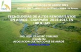 TECNOLOGÍAS DE ALTOS RENDIMIENTOS EN ARROZ - … · EN ARROZ - CAMPAÑA 2014-2015 EN URUGUAY. Cómo debemos enfrentar estos desafíos - Rol de la Investigación - Importancia del