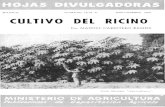 CULTIVO DEL RICINO · 2006. 10. 25. · Yei-u para e^-it