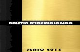 BOLETIN EPIDEMIOLOGICO - Hospital Huaycán · 2016. 7. 27. · BOLETIN EPIDEMIOLOGICO . HOSPITAL HUAYCAN INSTITUTO DE GETION DE SALUD UNIDAD EPID MIOLGIA Y SALUD AMBIENTAL Año de