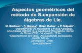 S-Expansión geométrica de álgebras de Lie Proyecto de ... · Índice Introducción al método de la S-expansión. Aspectos geométricos del método de la S- expansión. Semisimplicidad