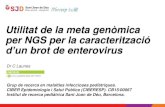 Utilitat de la meta genòmica per NGS per la ... · 10.13140/RG.2.1.1089.2403 • > 60% infecciones por E5 y E9 van con meningitis. • 2012 circula E -5 mayoritariamente Brote meningitis