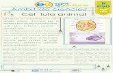 Àmbit de ciències Cèl· lula animal - XTEC · Cèl· lula animal La célula es la estructura viva más sencilla capaz de actuar por sí misma, haciendo las tres funciones vitales