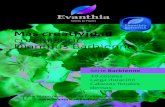 Más creatividad con la serie Dianthus Barbienne · Más creatividad con la serie Dianthus Barbienne Contacte con nosotros para obtener más información: | sales@evanthia.nl 10 colores