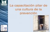 Generado por la dirección de la empresa. · Norma Oficial Mexicana NOM-030-STPS-2009, Servicios preventivos de seguridad y salud en el trabajo-Funciones y actividades. 6. Diagnóstico