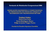 MODELACIÓN MATEMÁTICA Y COMPUTACIONAL DE …mmc.geofisica.unam.mx/smc-2006/Archivos/VT.pdf · modelaciÓn matemÁtica y computacional de propagaciÓn de ondas de choque en materiales
