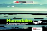 HUMEDALES - old.sernanp.gob.pe · teras, así como los paisajes de las ecorregiones del Mar Frío de la Corriente Peruana y promueve el desarrollo sostenible de los recursos naturales