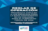 REGLAS DE OPERACIÓNtransparencia.guanajuato.gob.mx/biblioteca_digital/... · el 14.9% no tiene acceso a servicios básicos en la vivienda; y 22.9% de la población tiene carencia