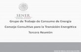 Grupo de Trabajo de Consumo de Energía Consejo Consultivo para la … · 2018. 9. 4. · 4. GIZ 1: Fijar una meta de generación distribuida y una de generación limpia distribuida