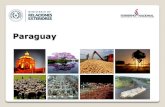 Presentación de PowerPoint · proyección de crecimiento del Paraguay para el año 2013, es del 13%. Fuentes no oficiales consideran que este índice podría alcanzar incluso 14%.