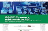 FORMACIÓN E-LEARNING - Iniciativas Empresariales€¦ · Formación E-Learning Programación ABAP 4 Workbench de SAP 3 El curso se realiza on-line a través de la plataforma e-learning