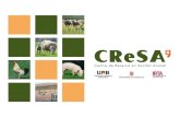 Sanitat porcina a - CReSA · Models de malaltia/infecció en porcs Edifici CReSA. Campus UAB. 08193 Bellaterra (Barcelona) Spain. Tel. (+34) 93 581 32 84 Fax. (+34) 93 581 44 90 e-mail: