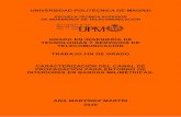 UNIVERSIDAD POLITECNICAoa.upm.es/57862/1/PFC_ANA_MARTINEZ_MARTIN_2020.pdf · UNIVERSIDAD POLITECNICA DE MADRID ESCUELA TECNICA SUPERIOR DE INGENIEROS DE TELECOMUNICACION GRADO EN