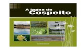A Lagoa de Cospeito - IBADER - Instituto de Biodiversidade ...municipios de Cospeito e Castro de Rei, incluíndo na mesma a totalidade do humidal da lagoa de Cospeito. Terreos que