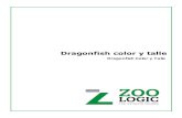 Dragonfish color y tallecampus.zoologic.com.ar/capacitacion/wp-content/uploads/...Dragonfish Color y Talle al momento de trabajar con los precios. Por un lado se debe trabajar con