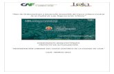 ”Plan de Ordenamiento y Desarrollo Sostenible del Casco Urbano … · 2015. 5. 20. · transversales, elementos de encauzamiento, y mobiliario urbano. El ámbito de intervención