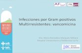 Infecciones por Gram positivos Multirresistentes: vancomicinagruposdetrabajo.sefh.es/pkgen/images/stories/61... · Infecciones por Gram positivos Multirresistentes: vancomicina Dra.