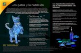 Los gatos y la nutrición son la clave para la salud y laestaticos.qdq.com/swdata/files/089/089402053/Sabias-que...Los gatos y la nutrición Gatos y las personas llevan compartiendo