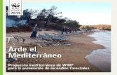 Arde el Mediterráneo...WWF España 2019 Arde el Mediterráneo Página 1Los países de la cuenca mediterránea se enfrentan a la misma emergencia relacionada con los incendios forestales.