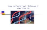 MOLEKÜLER DNA DİZİ ANALİZ YÖNTEMLERİdocs.neu.edu.tr/staff/serdar.susever/12 dna dizi analizi... · 2016. 9. 11. · 5 Tarihçe DNA’nın 3 boyutlu yapısı, 1953 yılında