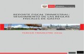 REPORTE FISCAL TRIMESTRAL: SEGUIMIENTO DE LAS REGLAS ... · del trimestre respectivo, de las principales cuentas macro fiscales del SPNF, tal y como se describe en el numeral 39.1