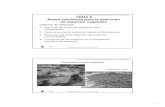 Tema 8 2007 - UAH · 1.2. Fijación de taludes en ríos y canales 9Tallos flexibles 9Sistema radical denso 9Tolerancia de la raíz a la inundación 9Capacidad de enraizamiento en