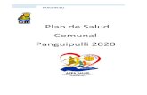 Plan de Salud Comunal Panguipulli 2020 · PANGUIPULLI VI S I Ó N P A R A L A S A L U D D E L A C O M U N A: “Ser una red de centros de salud comunal reconocida por la calidez,