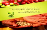 Determinación de los Atributos de Calidad del Café en ...190.167.99.25/digital/cafeatributosidiaf.pdf · los atributos de calidad del café en zonas productoras de la República