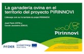 La ganadería ovina en el territorio del proyecto PIRINNOVIcitarea.cita-aragon.es/citarea/bitstream/10532/3556/1/2016_314.pdf · territorio del proyecto PIRINNOVI L’élevage ovin